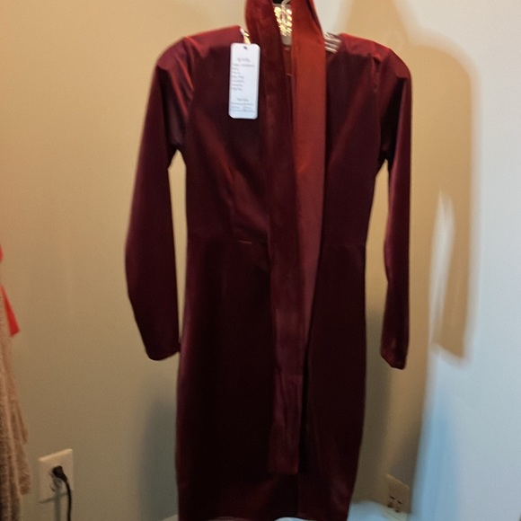 Burgundy Dress - Picture 7 of 8